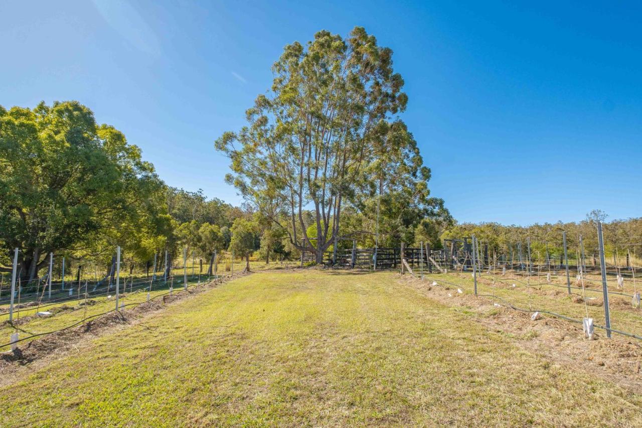 TamareeWidgereedoo Farm. Vineyard Views. Peaceful Retreat.别墅 外观 照片